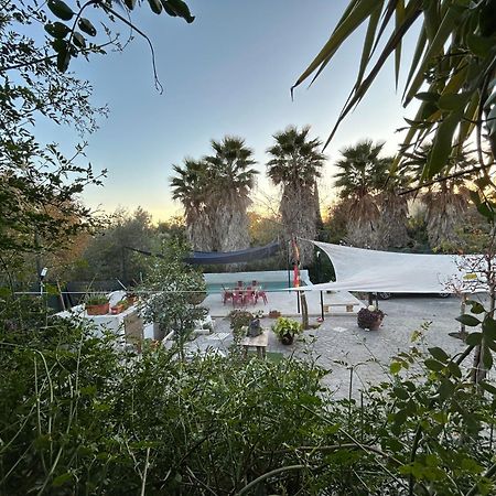 Loft Independiente "La Casita Del Olivo Centenario" Cordoba Luaran gambar