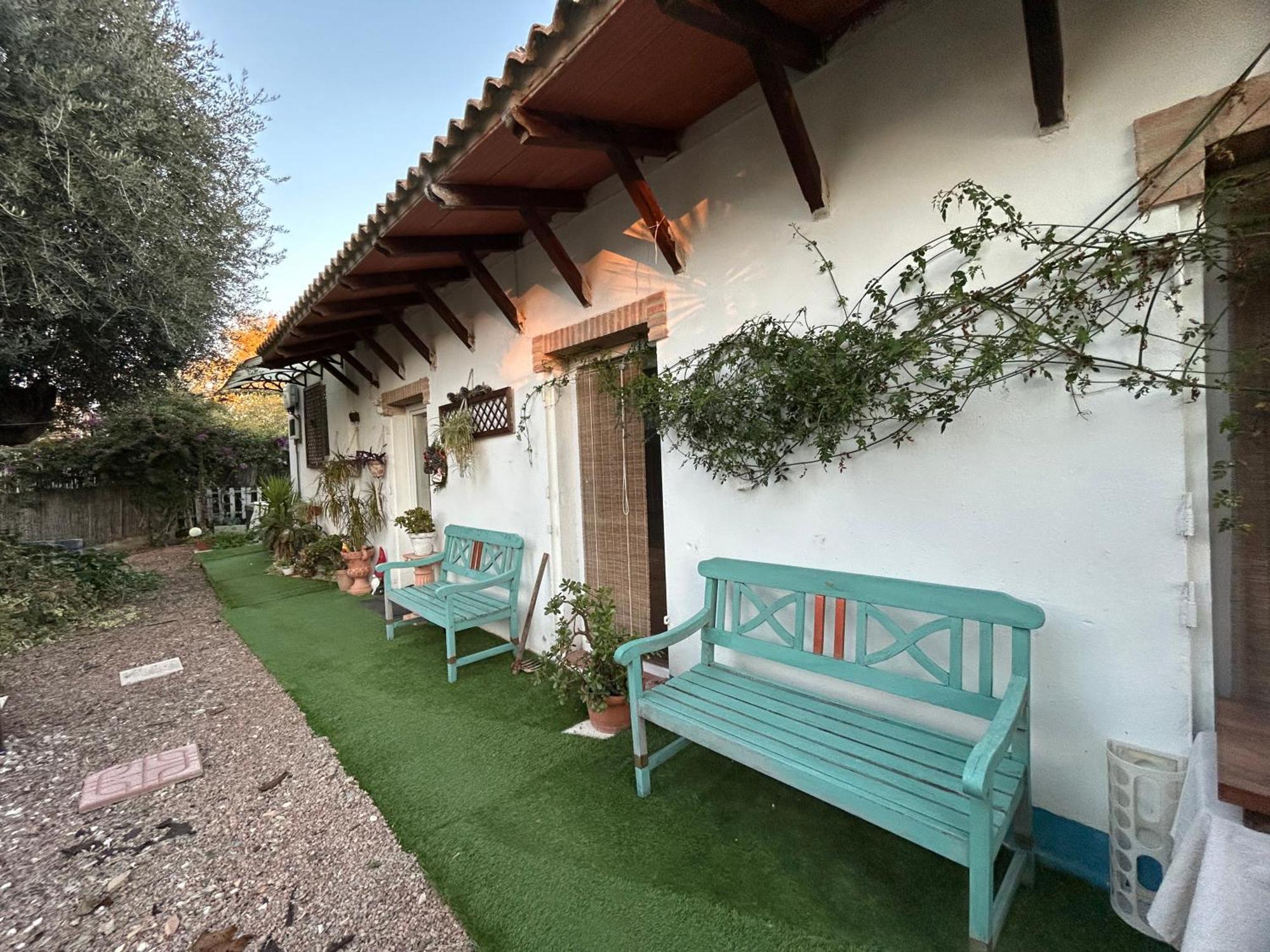 Loft Independiente "La Casita Del Olivo Centenario" Cordoba Luaran gambar